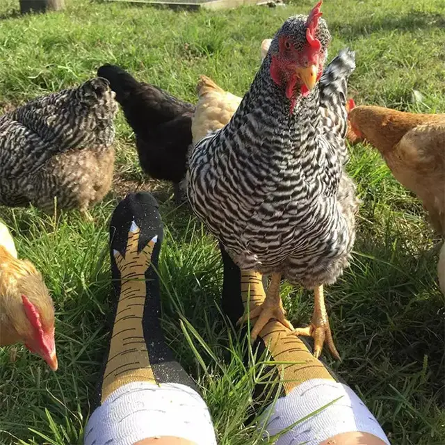 6 Desain Kaus Kaki Nyeleneh Ini Bikin Salah Fokus, Harus Dilihat Dua Kali
