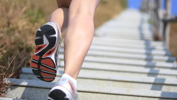 Copyright by shutterstock.com