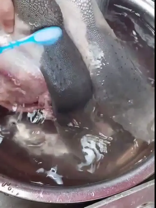 Hanya dengan 3 Bahan, Ini Cara Bersihkan Lidah Sapi Agar Empuk dan Anti Bau