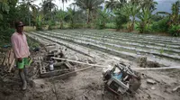 Hanafi, petani terdampak gempa saat memasang mesin sumur dalam di lahan pertanian di Desa Potoya, Kabupaten Sigi, Minggu (29/11/2020). Alat bantuan ACT Sulteng itu digunakan sebagai sumber air alternatif saat Irigasi Gumbasa belum pulih. (Foto: Liputan6.com/ Heri Susanto).