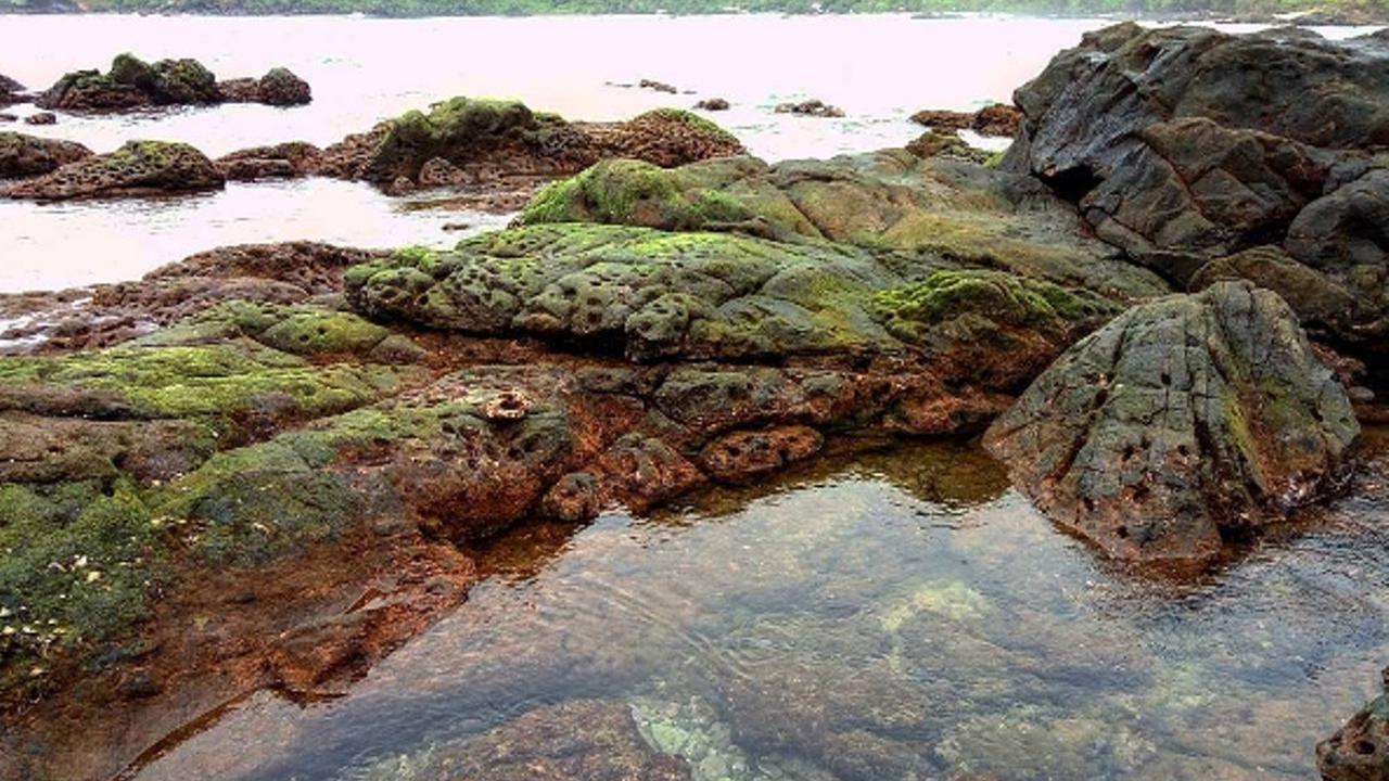 [reservasi]pantai wedi ombo