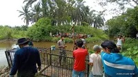 BKSDA Sumbar memasang perangkap evakuasi buaya muara di Kabupaten Agam.