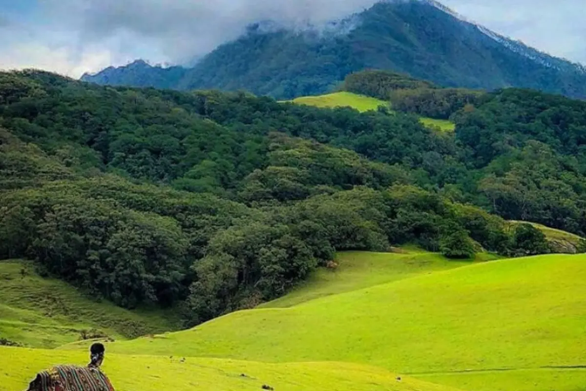 Taman Nasional Mutis Timau, NTT. (Foto: Ola Keda)