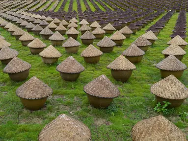 Foto dari udara bejana-bejana yang digunakan untuk proses pengeringan kecap di bawah terik matahari di Daqiao, sebuah kota di Wilayah Hejiang, Provinsi Sichuan, China, 28 September 2020. Teknik itu telah terdaftar sebagai warisan budaya takbenda tingkat provinsi dari Sichuan. (Xinhua/Jiang Hongjing)