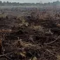 Pemadam kebakaran memadamkan api yang melalap lahan gambut di Pekanbaru, Provinsi Riau, (1/2). Lokasi ini merupakan salah satu dari 73 titik api yang terdeteksi menyebabkan kabut asap di pulau Sumatera. (AFP Photo/Wahyudi)