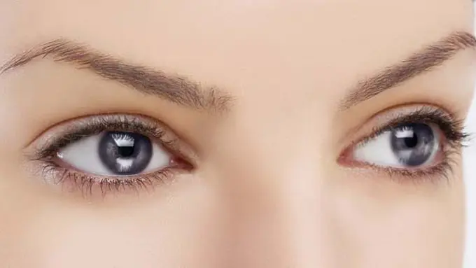 Foto: copyright shutterstock.com