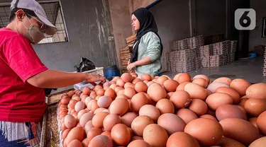 Warga membeli telur pada agen telur di Tangerang, Banten, Selasa (8/3/2022). Menurut pedagang,  pekan ini  harga telur ayam ras mengalami kenaikan dari harga Rp19 ribu menjadi Rp24 ribu per kilogram. (Liputan6.com/Angga Yuniar)