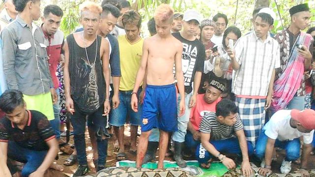 Ular piton yang menelan ibu dua anak