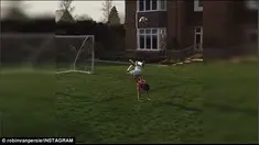 Anak Robin van Persie pamerkan keahlian tendangan kalajengking (@robinvanpersie)