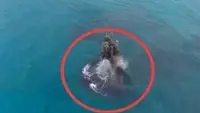 Misteri Daratan Baru di Dekat Anak Krakatau