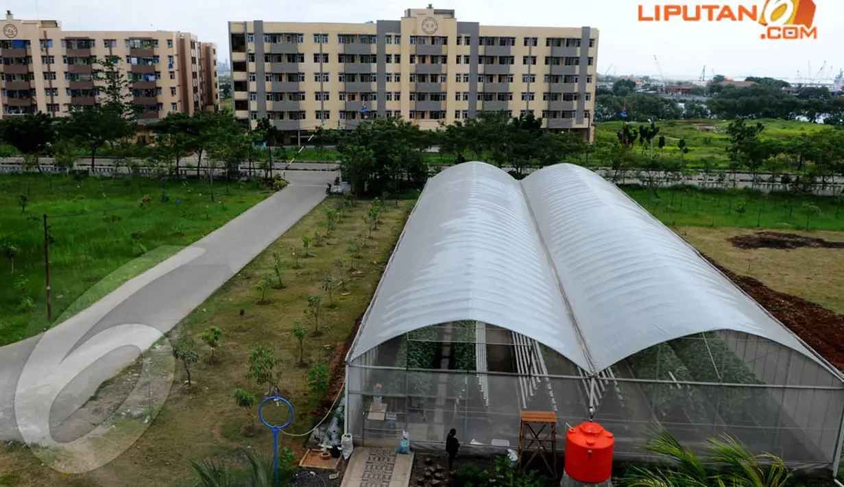 Sebuah green house dibangun di depan rumah susun Marunda, Jakarta Utara. (Liputan6.com/Andrian M. Tunay)