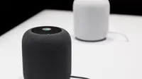 HomePod. (Doc: Wired)