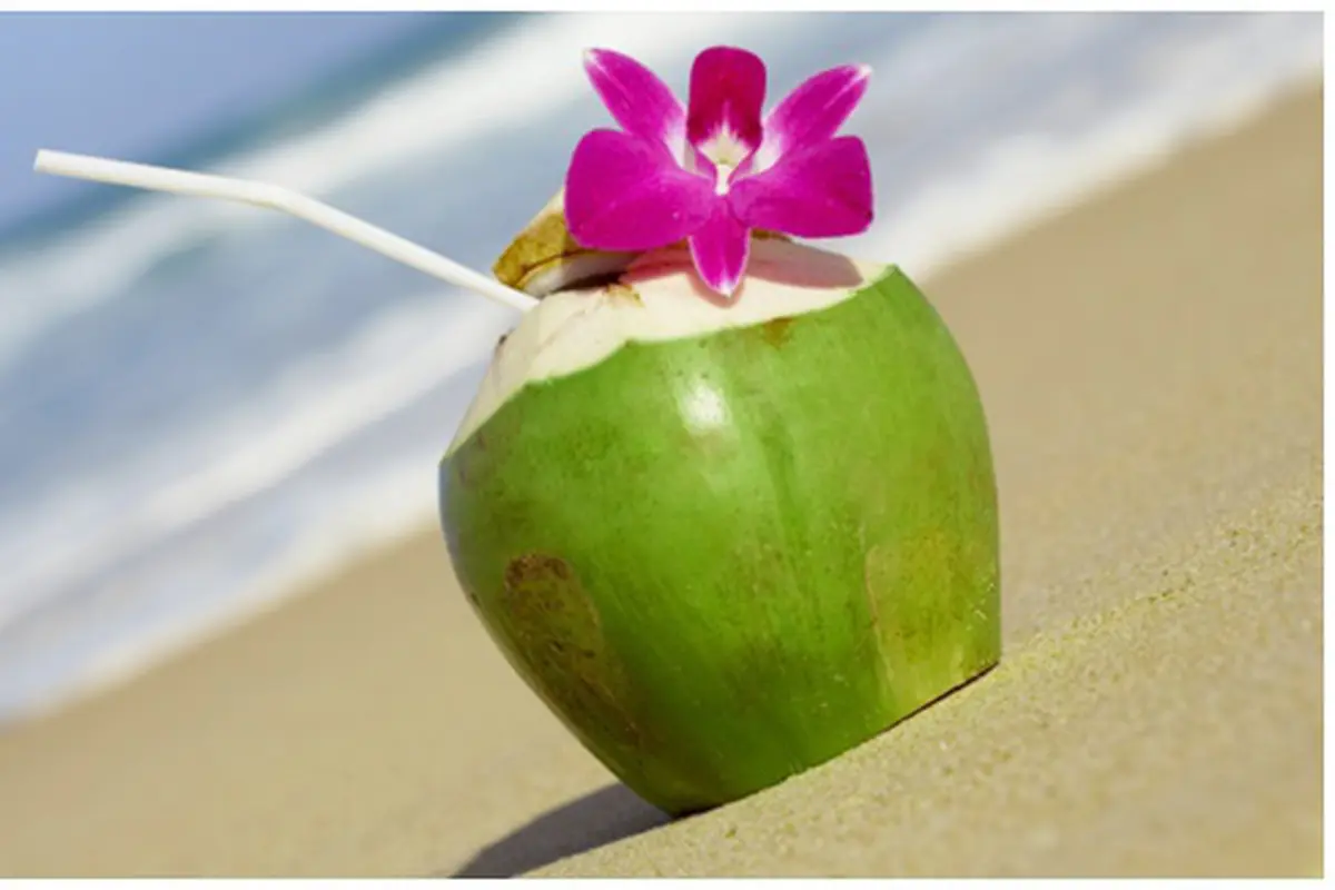 Foto: copyright thinkstockphotos.com
