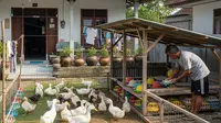 9 Ternak Rumahan yang Cocok untuk Ekonomi Keluarga Sederhana, Cuan dari Pekarangan