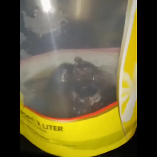 6 Potret Apes Tikus Nyemplung di Minyak Goreng Ini Bikin Tepuk Jidat