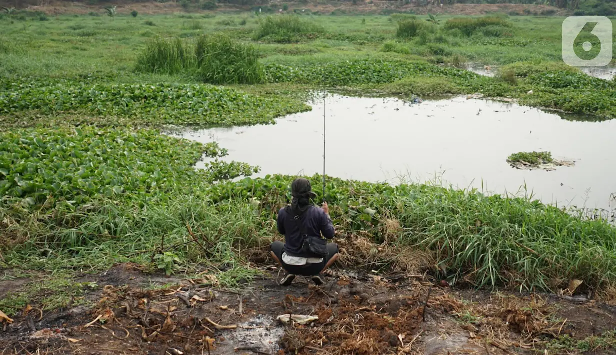 Warga memancing di Setu Pengarengan yang dipenuhi eceng gondok di kawasan Depok, Jawa Barat, Selasa (8/10/2019). Tidak kunjung dibersihkan menjadi penyebab seluruh permukaan setu tersebut dipenuhi tanaman eceng gondok. (Liputan6.com/Immanuel Antonius)