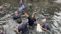 Operasi 'Perang' Ikan Sapu-sapu Dimulai, Tangkapan di Jakut Tembus 200 Kg