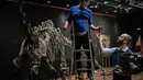 Pakar asal Italia merakit kerangka dinosaurus, Diplodocus sebelum mulai dilelang di Balai lelang Drouot, Paris, Jumat (6/4). Dua fosil hewan purbakala tersebut akan dilelang pada 11 April mendatang. (STEPHANE DE SAKUTIN/AFP)