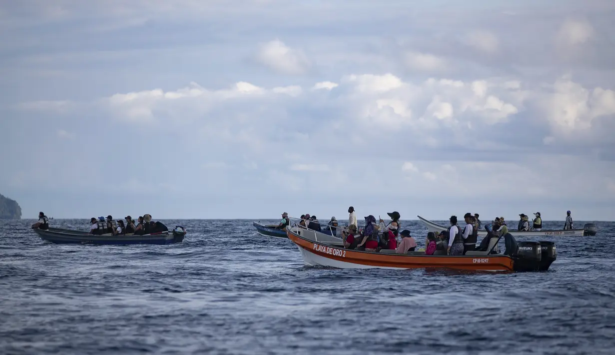 Setiap musim panas, kota berpenduduk 10.000 jiwa ini dikunjungi oleh ribuan pengunjung yang menaiki perahu nelayan kecil untuk mendekati paus bungkuk. (AP Photo/Ivan Valencia)