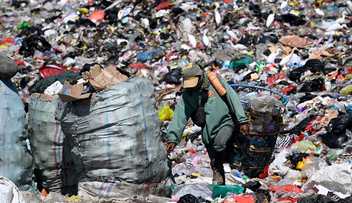 Sebelumnya, pada Kamis 16 April 2026, ratusan orang dari Forum Swakelola Sampah Bali (SSB) menggelar aksi damai dengan membawa armada pengangkut sampah ke depan Kantor Gubernur Bali dan Pusat Pengendalian Lingkungan Hidup (PPLH) Bali Nusra. Tampak dalam foto, seorang pria mengumpulkan sampah di Tempat Pembuangan Akhir (TPA) Suwung, Denpasar, Bali, pada Jumat 17 April 2026. (SONNY TUMBELAKA/AFP)