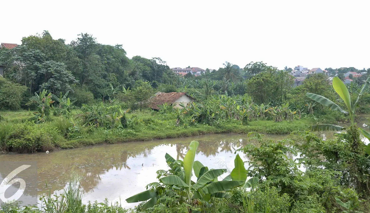 Sebagian lahan Waduk Brigif yang masih terkendala pembebasan lahan sehingga molor pembangunannya mundur dari jadwal semula, Jakarta, Selasa (15/11). Pemprov DKI targetkan pengerukan Waduk Brigif rampung akhir tahun ini. (Liputan6.com/Yoppy Renato)