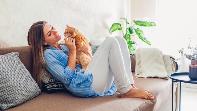 Cara Kucing Berkomunikasi 