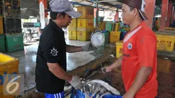 Pekerja saat menimbang ikan hiu di tempat pelelangan ikan, Karangsong, Indramayu, Jawa Barat, Kamis (16/6/2015). Karena permintaan yang masih tinggi nelayan setempat masih memperdagangkan sirip hiu ke luar negri. (Liputan6.com/Herman Zakharia)