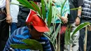 Wakil Gubernur (wagub) DKI Jakarta Djarot Saiful Hidayat saat melakukan penanaman salak condet dipinggiran kali Ciliwung dalam perayaan hari ciliwung 2015 di Condet, Jakarta Timur, Rabu, (11/11/2015). (Liputan6.com/Yoppy Renato)