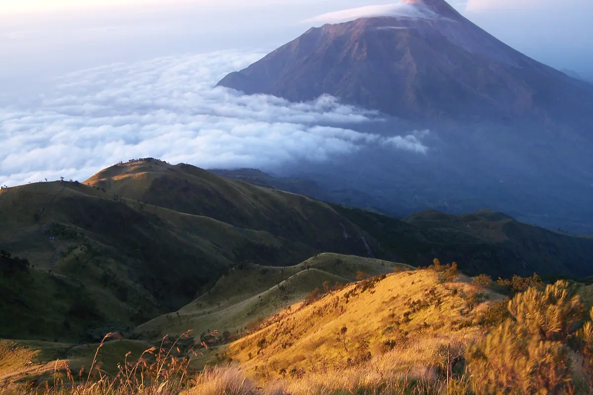5 Akun Twitter yang Harus Di-"Follow" Sebelum ke Gunung Lawu
