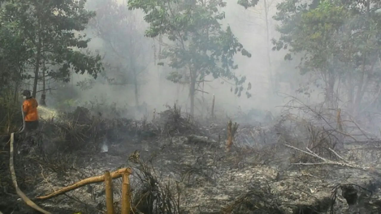 Kebakaran Hutan