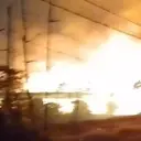 28 Ribu Anak Ayam Terbakar di Banyuwangi, Kerugian Tembus Rp 2,5 M