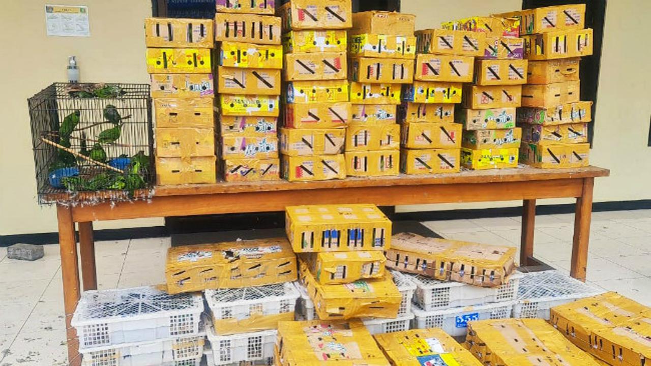 (Foto: Liputan6.com/Dian Kurniawan)