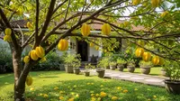 10 Pohon Buah yang Berbuah Lebat Tanpa Perlu Dirangsang, Tawarkan Kemudahan Perawatan