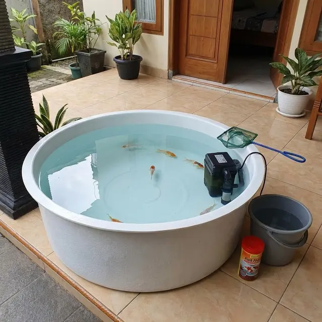 Model Kolam Ikan Teras Rumah Tidak Bau