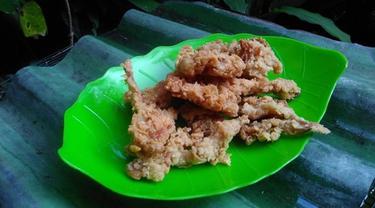 Jamur Krispi