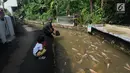 Warga memberi makan ikan mas yang berada di selokan air di Kampung Naringgul Ciasin, Ciawi, Bogor (18/4). Warga Kampung Naringgul Ciasin sudah lebih dari 1,5 tahun menerapkan budaya Eco-Village. (Merdeka.com/Arie Basuki)