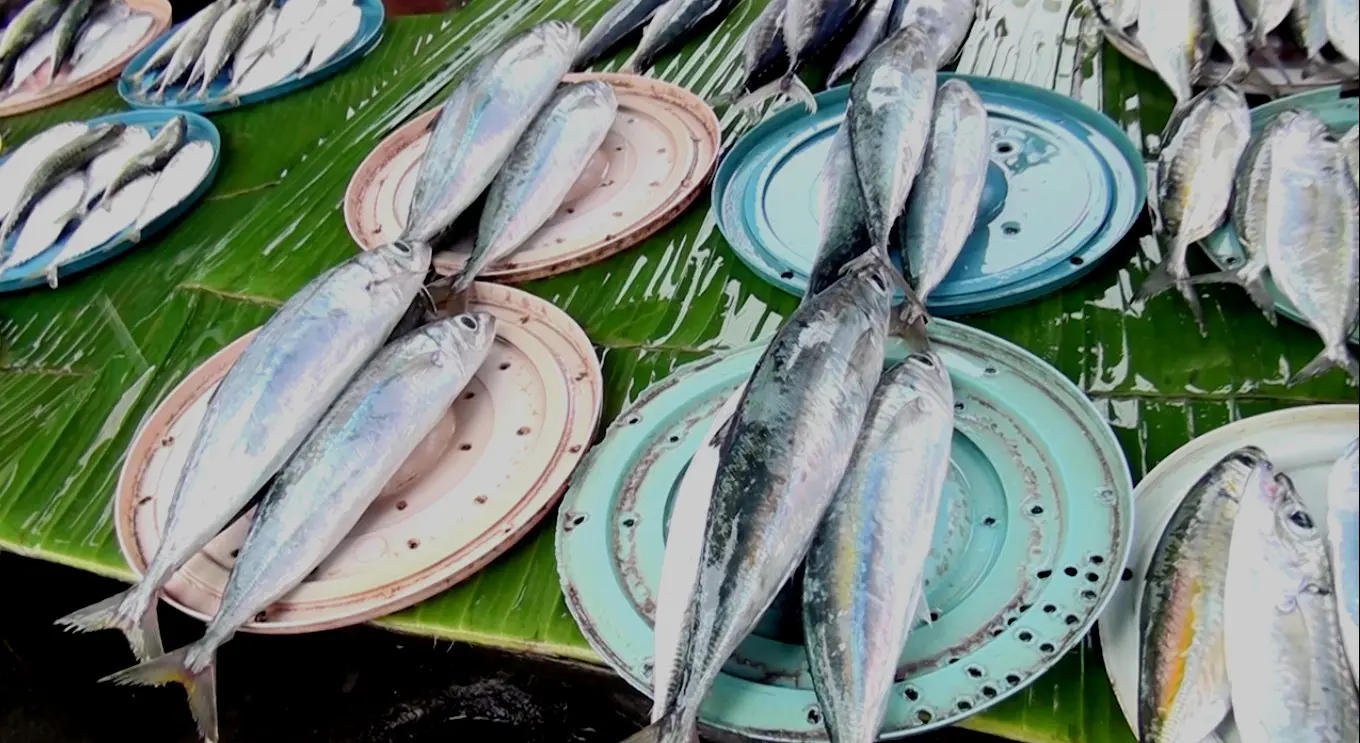 Sudah beberapa hari terakhir harga ikan melonjak tinggi di pasar-pasar tradisional di Ambon, Maluku. (Liputan6.com/Abdul Karim).