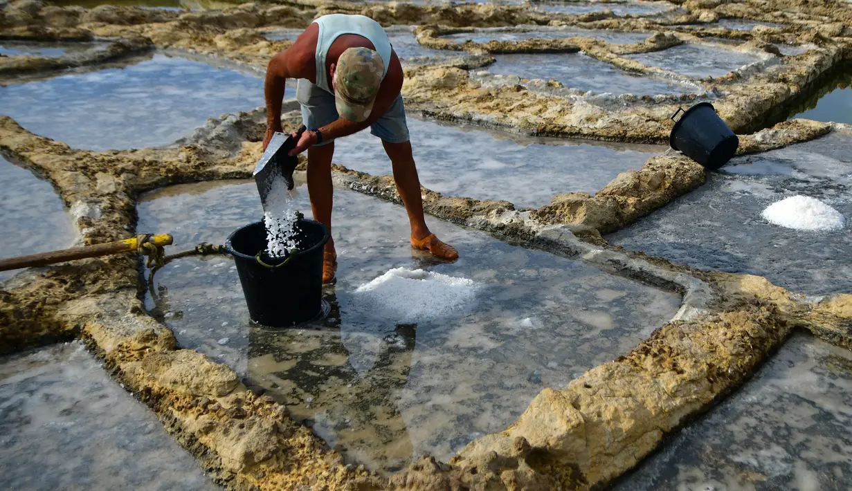 Alfred Attard mengumpulkan garam laut dari dataran garam dengan pematang batu di sebuah desa di Gozo, Malta, pada 7 September 2020. Dikelilingi seluruhnya oleh laut, Malta merupakan salah satu produsen besar garam laut yang dihasilkan dari dataran garam berpematang batu. (Xinhua/Jonathan Borg)