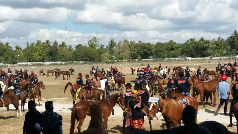 Ayo ke Sumba, Parade 1001 Kuda Sandelwood Dimulai