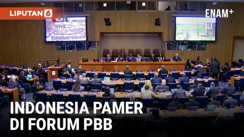 VIDEO: Pameran Indonesia di PBB Angkat "Pencapaian" Pengelolaan Hutan
