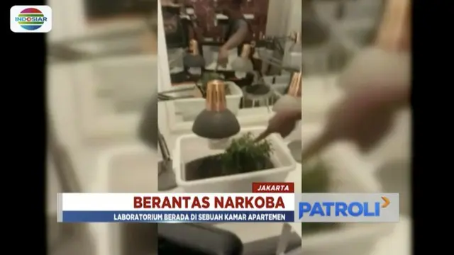 Mabes Polri gerebek laboratorium tanaman ganja milik warga negara Amerika Serikat di sebuah apartemen di Tanah Abang, Jakarta Barat.