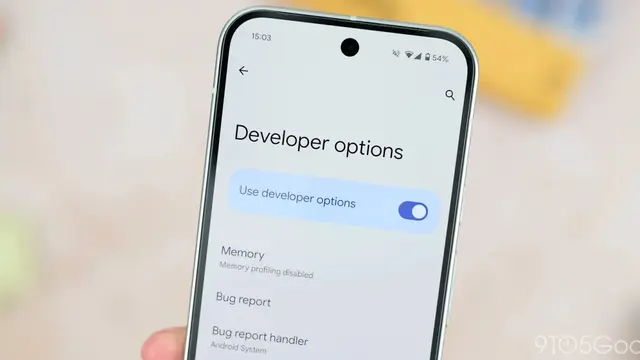 Menu Developer Option