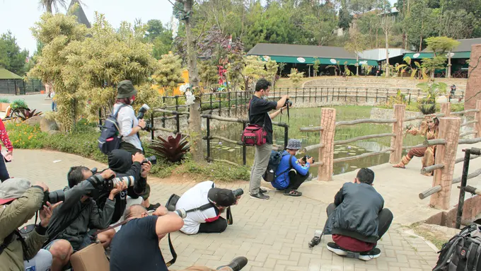 Komunitas Semut Foto: Jalani Hobi Fotografi di Tengah Pandemi