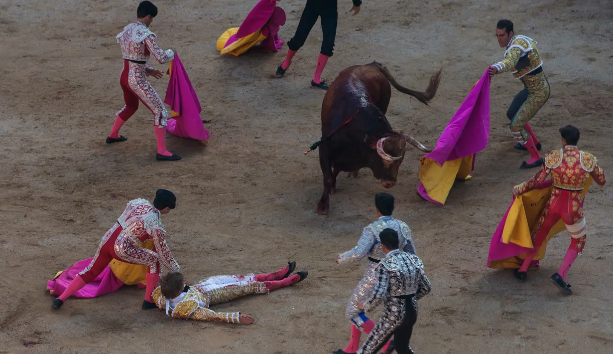 Sejumlah matador berusaha menyelamatkan rekannya yang tergeletak di tanah setelah ditanduk banteng di Festival San Fermin Pamplona pada tanggal 8 Juli 2016.( AFP PHOTO / MIGUEL RIOPA)