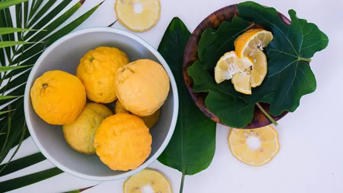 copyright unsplash.com/Abigail Lynn