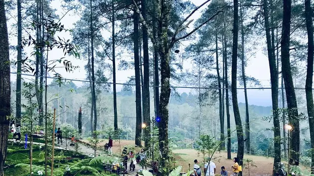 Orchid Forest (dok.instagram@orchidforestcikole/https://www.instagram.com/p/BxbslkoBjkG//indah