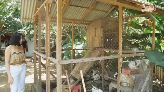 11 Potret Rumah Indah Kalalo di Bali, Asri Punya Banyak Konsep