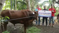 Penyaluran hewan kurban dari PLTU Cilacap. (Foto: Istimewa)