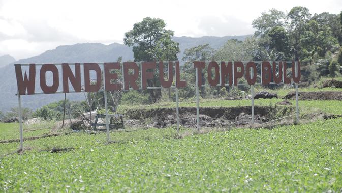 Cerita Desa BRILiaN Tompobulu, Saat Potensi Lokal dan Digitalisasi Dorong Pertumbuhan Ekonomi