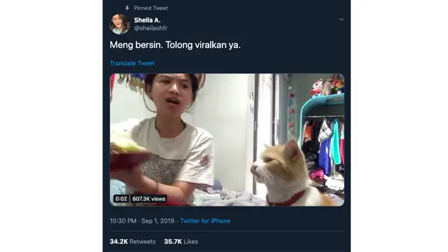 twitter @sheilashfr